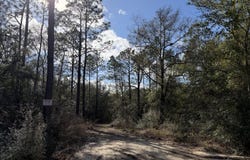 Bear Head Road, Crestview, FL 32539