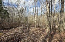 Ottofy Way, Eminence, MO 65466