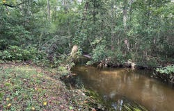 830 Colbert Bridge Road, Windsor, SC 29856