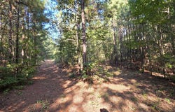 201 Hidden Ridge Road, El Paso, AR 72045