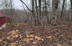 251 Riverview Rd, HOLLADAY, TN 38341
