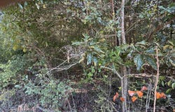 100 Dogwood Glen Drive, Centerville, GA 31028
