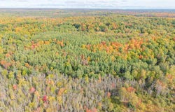 TBD Co Rd CN Road, Ishpeming, MI 49849