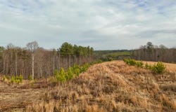 State Rt 399 Lot 13, Dunlap, TN 37327
