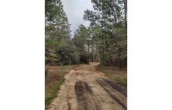 165 7th Way, Interlachen, FL 32148