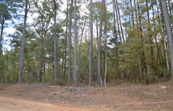 Connor Rd, Kosciusko, MS 39090