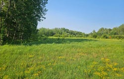 21048 County Road 36, Crosby, MN 56441