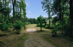8637 Wildwood Dr, Denham Springs, LA 70706