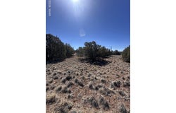 1795 Cox Drive, Show Low, AZ 85901