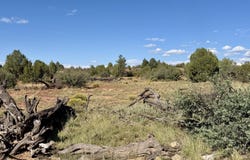 494se N Nirvana Way, Ash Fork, AZ 86320