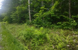 Stream Road, Vienna, ME 04360