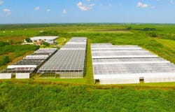 6150 PRINGLE Lane, IMMOKALEE, FL 34142