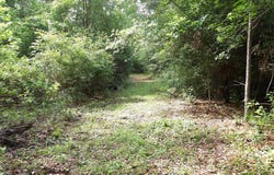 PARCEL #7943 FM 536, Kennard, TX 75847