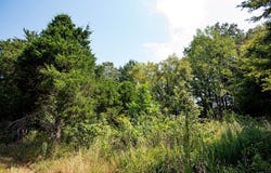 607 Upton Road, POPE, MS 38658