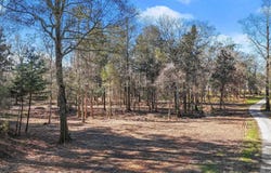 12234 Whitetail Ln, Walker, LA 70785