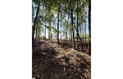 Thompson Road, Greer, SC 29651