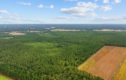 River Bend Rd., Loris, SC 29569