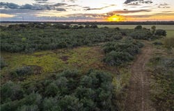 CR 325, Louise, TX 77455