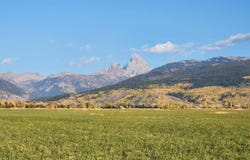 1753 FOXTAIL Drive, Driggs, ID 83422