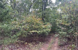 CR 339, Piedmont, MO 63957