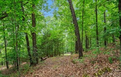 Wildlife Trail, Branson, MO 65616