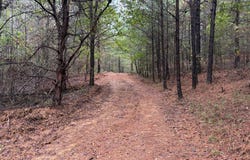 County Road 66, Eldridge, AL 35554