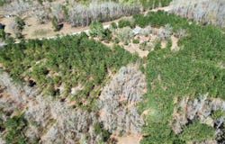 2521 SC - 268, Mount Croghan, SC 29727