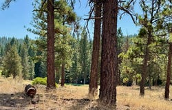 202 Morning Star lot: 368, Portola, CA 96122