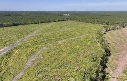 Rooks Road, Gates, NC 27937