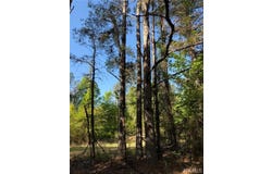 1 Old Highway 18, Vernon, AL 35592