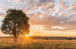 Lot 19 Rolling Hill Drive, Cat Spring, TX 78933
