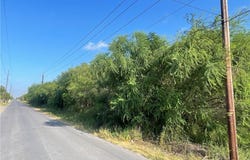 Monterrey Drive, Weslaco, TX 78599