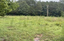 County Rd 42, Calhoun, TN 37309
