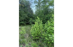 Puckett Road, Westfield, NC 27053