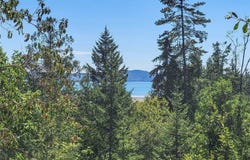 201 Mount Jupiter Road, Brinnon, WA 98445