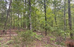 8 Faisan Circle, Hot Springs Village, AR 71909