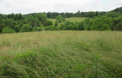 Dewitt Road, Moores Hill, IN 47032