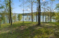 JONATHAN Dr lot: 94, Arley, AL 35541