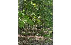 L42a & 43a Eaglecrest Road, Cape Fair, MO 65624