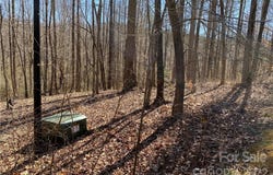 Rambling Creek Road, Tryon, NC 28782