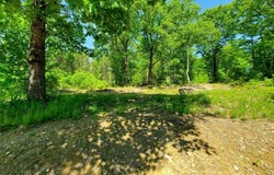 406 Shadow Lane, Etna, ME 04434