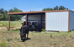 668 Fairview Dr, Rockdale, TX 76567