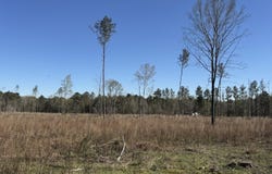 Bilbrew Road, Pisgah, MS 39047