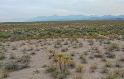 Presidio, TX 79845