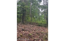 Shurden Owen Drive, Gore Springs, MS 38929
