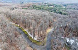 158 Forest Highlands, Bellaire, MI 49615