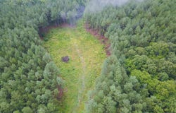 59 Union Hill Rd, Sunbright, TN 37872