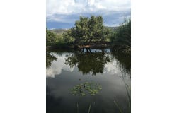 59 Wagon Rd, Alpine, TX 79830