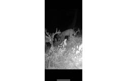 Sedgefield Rd, Natchez, MS 39120