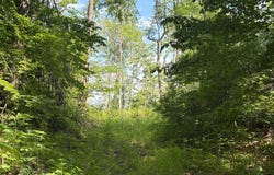 Rea Cemetery Rd, Coal City, IN 47427